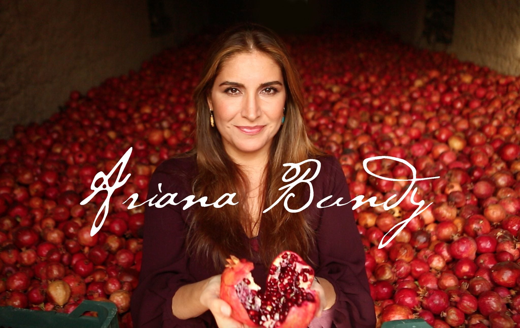 Ariana Bundy Ariana Bundy- Award-winning Iranian-American TV chef